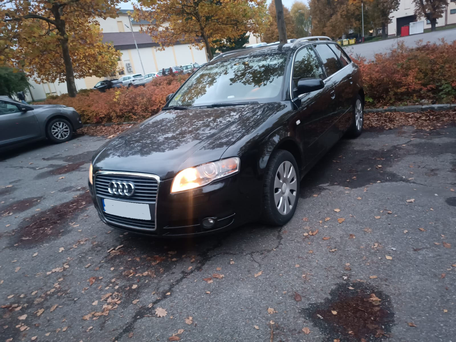 Audi A4 Avant Manual